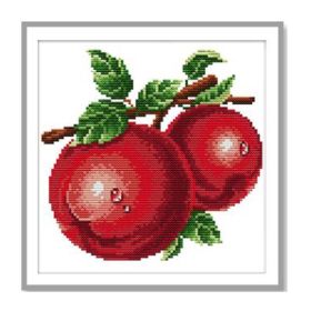 11CT Stamped Cross Stitch Kits DIY Embroidery Kits Arts Crafts Needlework Fruit Red Apple Dining Room Kitchen Decor, 10x10inch