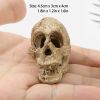 Halloween Skeleton Head Small Mini Skulls for Halloween Party, Halloween Decor Props