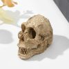 Halloween Skeleton Head Small Mini Skulls for Halloween Party, Halloween Decor Props