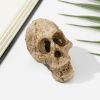 Halloween Skeleton Head Small Mini Skulls for Halloween Party, Halloween Decor Props