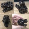 3 Pcs Resin Simulation Dinosaur Fossil Bone Knobs Tyrannosaurus Drawer Knobs and Pulls Use for Cabinet, Bronze