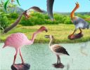 Plastic Simulated Flamingo Model for Desk Decor Kids Educational Birds Figurines Toy