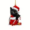 1pc,Acrylic Christmas Hat Cat,Unusual,Cheap,Scene Decoration,Room Decoration,Home Decoration, Indoor Decoration,Outdoor Decoration,Garden Decoration,