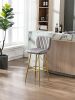 COOLMORE Bar Stools with Back and Footrest Counter Height Dining Chairs 2PCSET