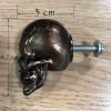 3 Pcs Simulated Skull Bone Drawer Handles Cute Skull Face Closet Resin Pulls Bronze Skull Locker Knob Pulls, Dull Face