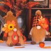 Fall Gnomes 2 Pack Fall Decorations for Home, Thanksgiving Scarecrow Gnomes