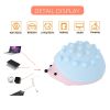 Cute Hedgehog Nightlights Colorful Lamp Dimmable Bedroom Decoration Led Lights Push Bubble Toys for Kids Creative Birthday Gift