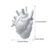 Vase In The Shape Of Human Heart; Home Decoration; Desktop Art Craft Ornament; Exquisite And High-end Indoor Vase; Organ Design Flower Container